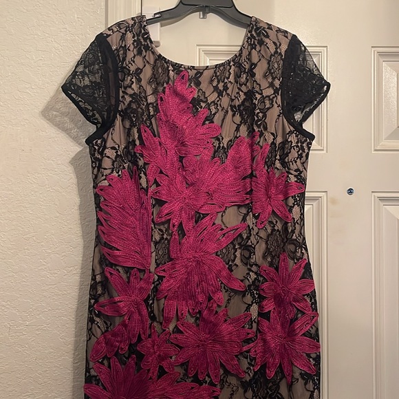 JS Collection Embroidered Lace Midi Dress in Black and Pink - Picture 6 of 12